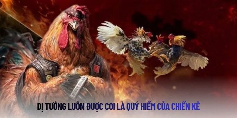 Sơ lược về thể loại dị tướng linh kê hiếm gặp